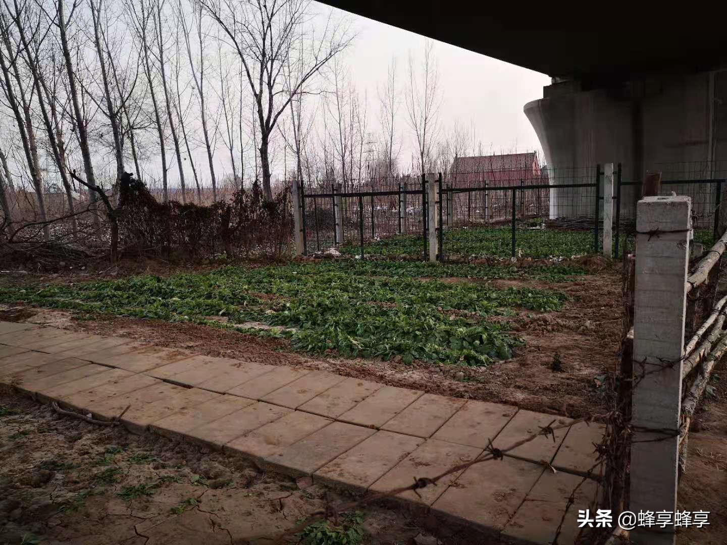 智能聊天软件，中小企业数字化转型破局利器
