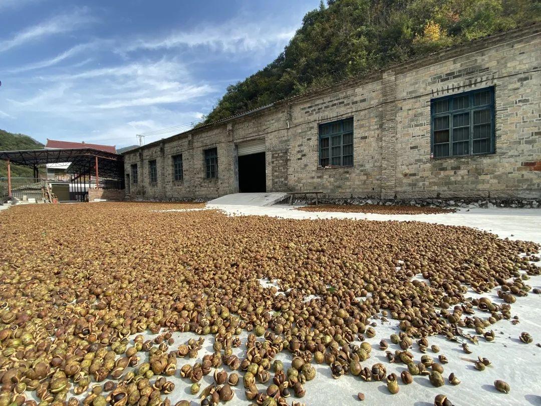 供应链多方协作消息管理策略与实践路径探索